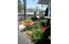 Property photo 5 - REAL ESTATE AUCTION, Crossroads Flowers